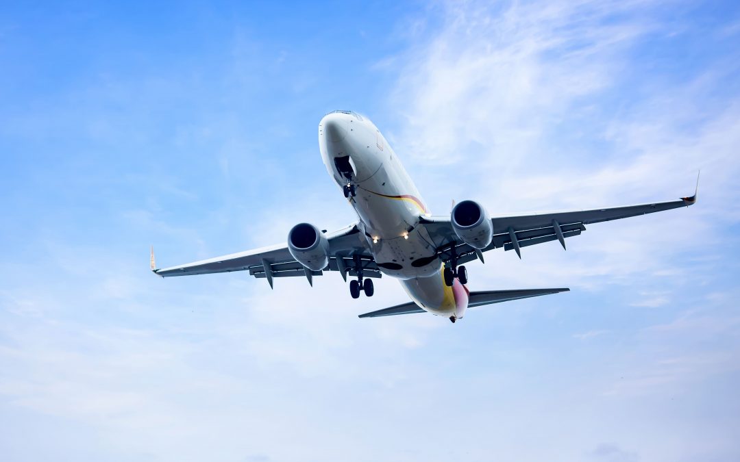 Estatudo del usuario de transporte aéreo comercial de pasajeros regulación en trámite